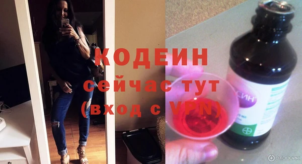 индика Бугульма