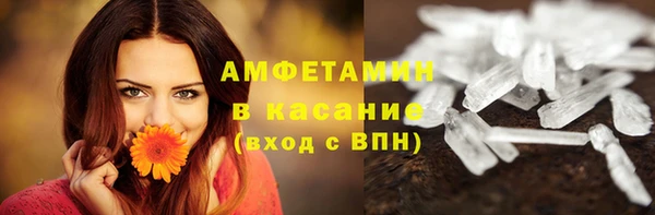 индика Бугульма