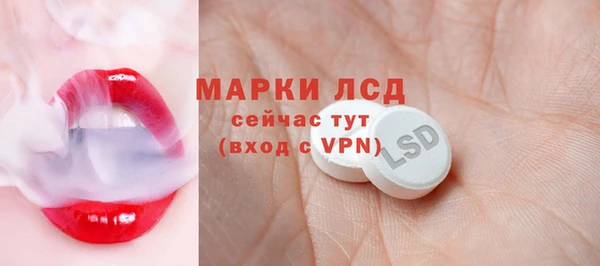 индика Бугульма