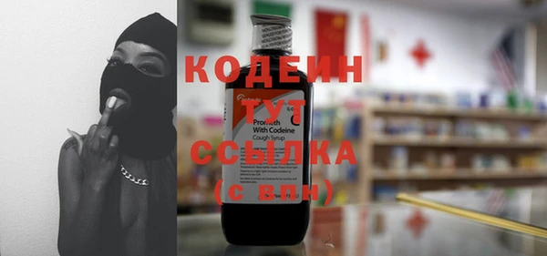 индика Бугульма