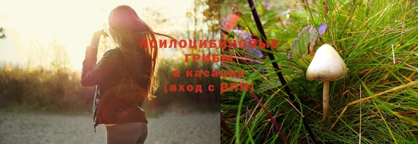 спиды Семилуки