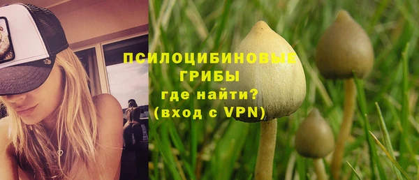 индика Бугульма