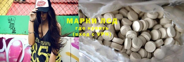 индика Бугульма