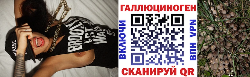 Псилоцибиновые грибы мицелий Раменское